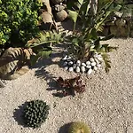 La Petite Maison فندق 3*